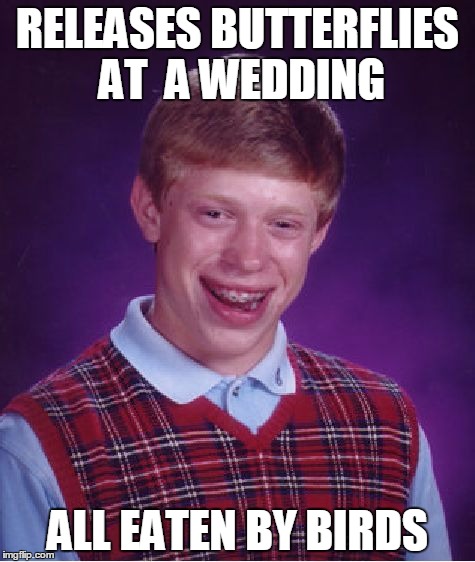 Wedding blues | RELEASES BUTTERFLIES AT  A WEDDING; ALL EATEN BY BIRDS | image tagged in memes,bad luck brian | made w/ Imgflip meme maker