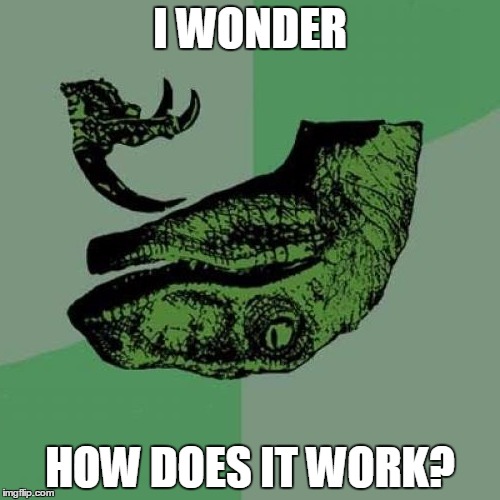 Philosoraptor Meme | I WONDER; HOW DOES IT WORK? | image tagged in memes,philosoraptor | made w/ Imgflip meme maker