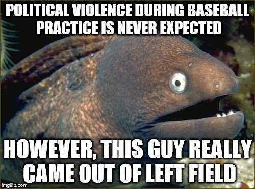Bad Joke Eel Meme | POLITICAL VIOLENCE DURING BASEBALL PRACTICE IS NEVER EXPECTED; HOWEVER, THIS GUY REALLY CAME OUT OF LEFT FIELD | image tagged in memes,bad joke eel | made w/ Imgflip meme maker