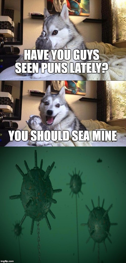 Sea mine pun | HAVE YOU GUYS SEEN PUNS LATELY? YOU SHOULD SEA MINE | image tagged in memes,bad pun dog | made w/ Imgflip meme maker