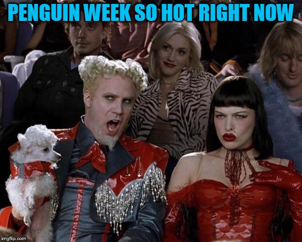 My submission for penguin week. It zx and I know it :D just happy to participate | PENGUIN WEEK SO HOT RIGHT NOW | image tagged in memes,mugatu so hot right now | made w/ Imgflip meme maker