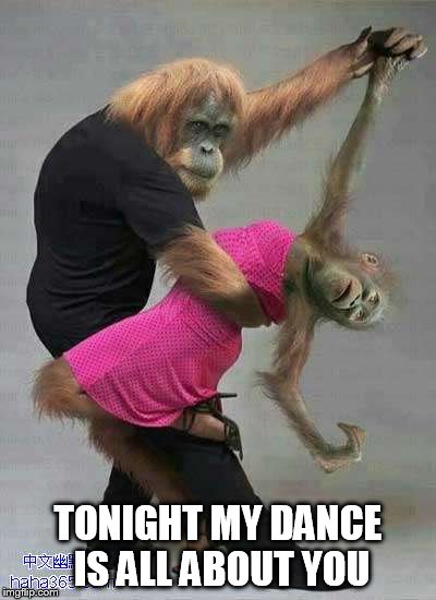 DMB So Right | TONIGHT MY DANCE IS ALL ABOUT YOU | image tagged in dmb,dave matthews band,dance,monkey,tonight my dance is all about you,so right | made w/ Imgflip meme maker