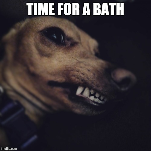 TIME FOR A BATH | image tagged in izzo | made w/ Imgflip meme maker