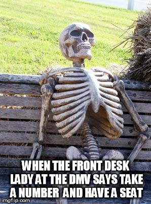 All I needed was a duplicate license... | WHEN THE FRONT DESK LADY AT THE DMV SAYS TAKE A NUMBER  AND HAVE A SEAT | image tagged in memes,waiting skeleton,dmv | made w/ Imgflip meme maker