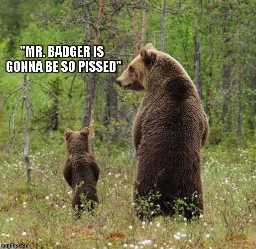 "Next time, we'll get Mrs. Fox" | "MR. BADGER IS GONNA BE SO PISSED" | image tagged in bear,baby bear,pee,pissed off | made w/ Imgflip meme maker