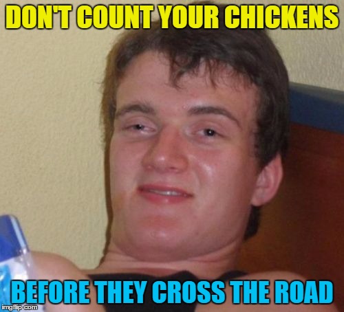 Wise words... :) | DON'T COUNT YOUR CHICKENS; BEFORE THEY CROSS THE ROAD | image tagged in memes,10 guy,chickens,animals,birds | made w/ Imgflip meme maker