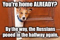 We all know who to blame, don't we?! | You're home ALREADY? By the way, the Russians pooed in the hallway again. | image tagged in memes,dog,front door,poo,russians,blame | made w/ Imgflip meme maker