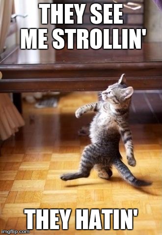 Cool Cat Stroll | THEY SEE ME STROLLIN'; THEY HATIN' | image tagged in memes,cool cat stroll | made w/ Imgflip meme maker