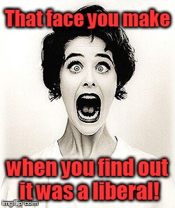 Face you make when it's a liberal | That face you make; when you find out it was a liberal! | image tagged in no,funny face | made w/ Imgflip meme maker