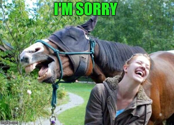 Laughing Horse | I'M SORRY | image tagged in laughing horse | made w/ Imgflip meme maker