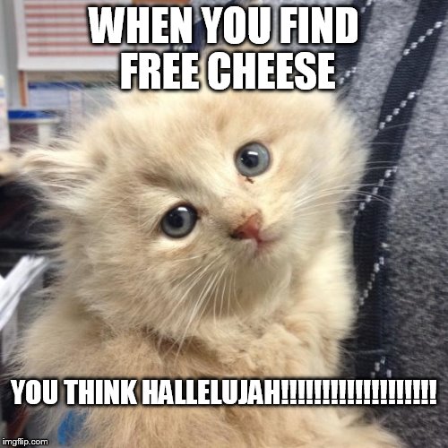 Pickles | WHEN YOU FIND FREE CHEESE; YOU THINK HALLELUJAH!!!!!!!!!!!!!!!!!!! | image tagged in pickles | made w/ Imgflip meme maker