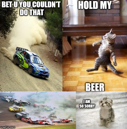 Hold my beer Kitty | image tagged in memes,cats,animals,hold my beer,crash,cute | made w/ Imgflip meme maker