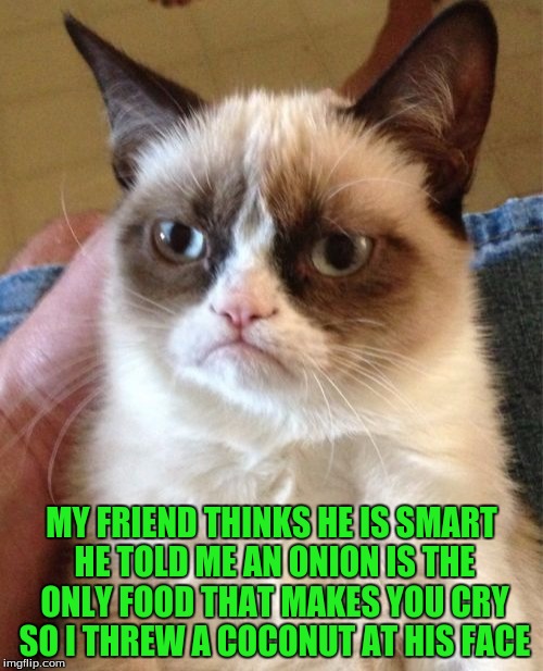 Grumpy Cat Meme | MY FRIEND THINKS HE IS SMART HE TOLD ME AN ONION IS THE ONLY FOOD THAT MAKES YOU CRY SO I THREW A COCONUT AT HIS FACE | image tagged in memes,grumpy cat | made w/ Imgflip meme maker