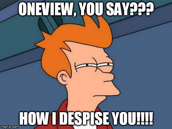 Futurama Fry Meme | ONEVIEW, YOU SAY??? HOW I DESPISE YOU!!!! | image tagged in memes,futurama fry | made w/ Imgflip meme maker
