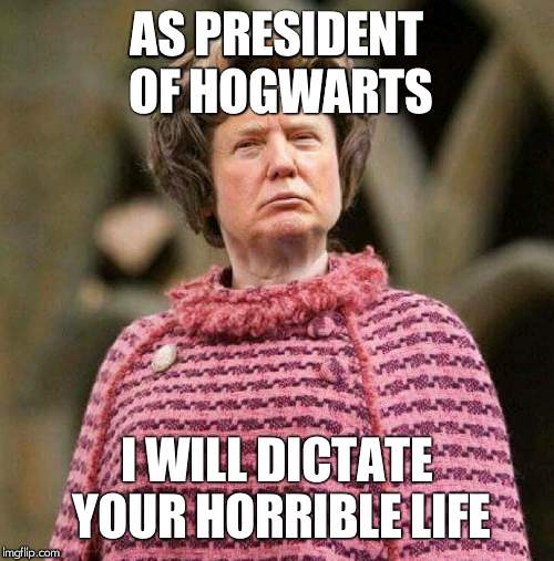 Trump umbridge  | AS PRESIDENT OF HOGWARTS; I WILL DICTATE YOUR HORRIBLE LIFE | image tagged in trump umbridge | made w/ Imgflip meme maker