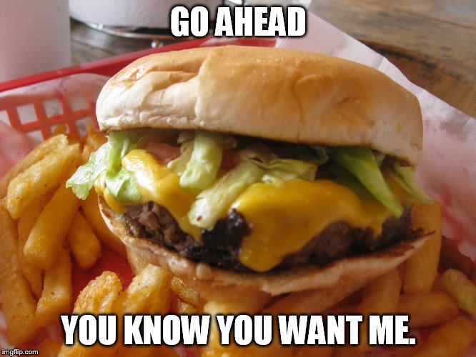 GO AHEAD; YOU KNOW YOU WANT ME. | image tagged in burger | made w/ Imgflip meme maker
