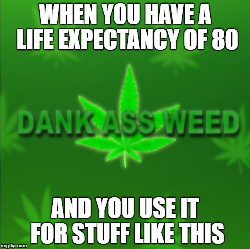 Dank Ass Weed | WHEN YOU HAVE A LIFE EXPECTANCY OF 80; AND YOU USE IT FOR STUFF LIKE THIS | image tagged in weed,wasted,dank | made w/ Imgflip meme maker
