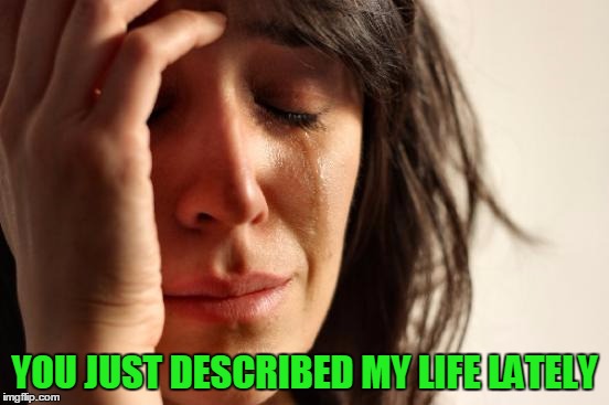 First World Problems Meme | YOU JUST DESCRIBED MY LIFE LATELY | image tagged in memes,first world problems | made w/ Imgflip meme maker