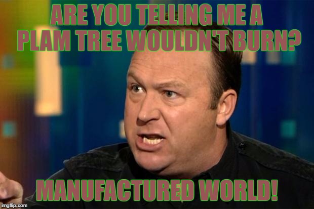 Alex Jones | ARE YOU TELLING ME A PLAM TREE WOULDN'T BURN? MANUFACTURED WORLD! | image tagged in alex jones | made w/ Imgflip meme maker
