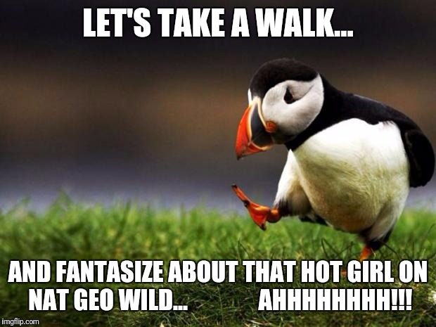 Unpopular Opinion Puffin Meme | LET'S TAKE A WALK... AND FANTASIZE ABOUT THAT HOT GIRL ON NAT GEO WILD... 
             AHHHHHHHH!!! | image tagged in memes,unpopular opinion puffin | made w/ Imgflip meme maker