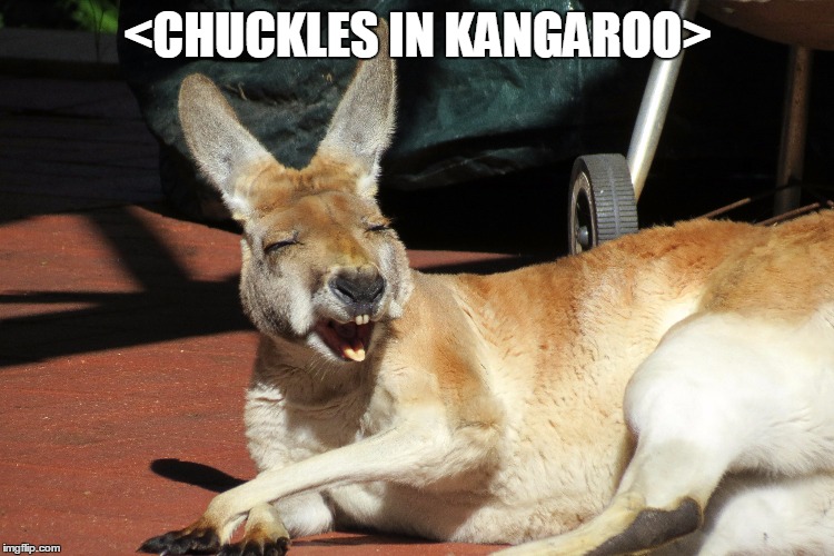 <CHUCKLES IN KANGAROO> | made w/ Imgflip meme maker
