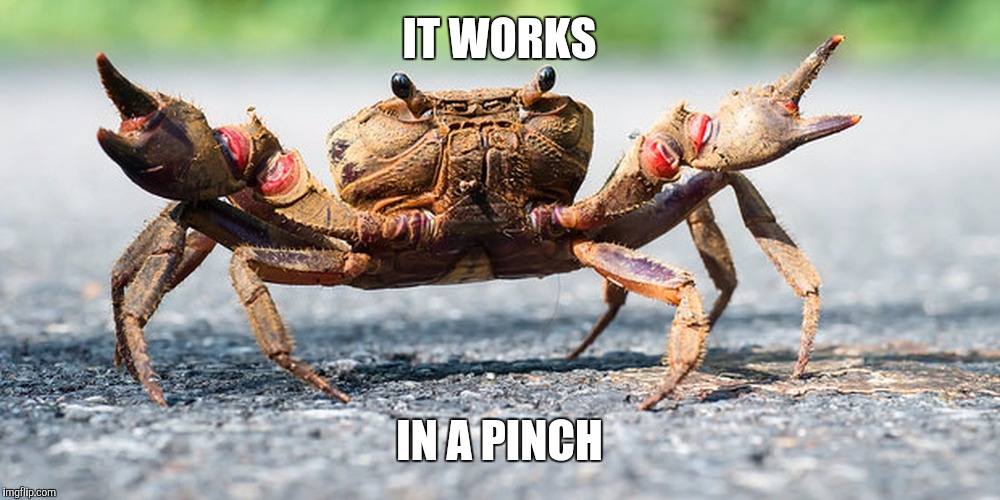 IT WORKS IN A PINCH | made w/ Imgflip meme maker