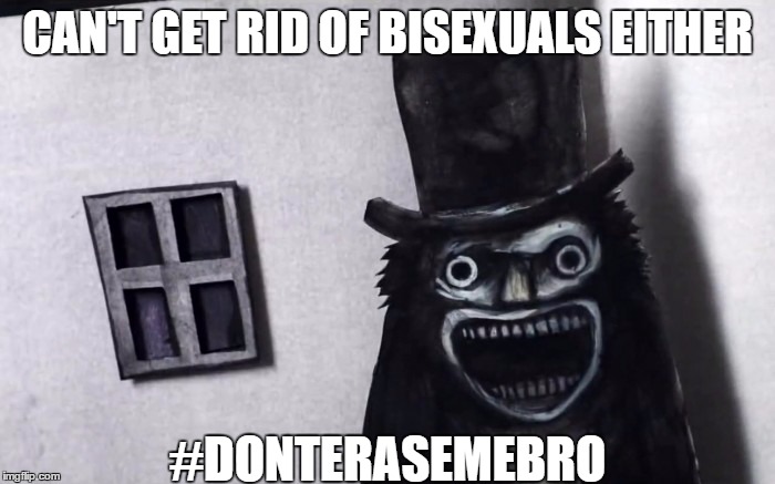 Don't Erase Me, Bro! | CAN'T GET RID OF BISEXUALS EITHER; #DONTERASEMEBRO | image tagged in babadook,bisexual | made w/ Imgflip meme maker