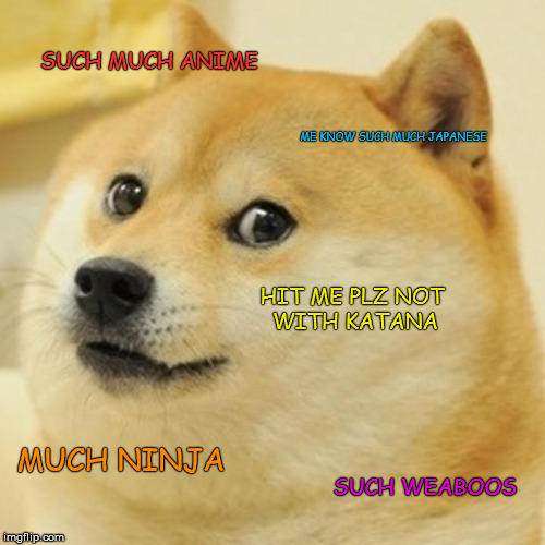 Doge Meme | SUCH MUCH ANIME; ME KNOW SUCH MUCH JAPANESE; HIT ME PLZ NOT WITH KATANA; MUCH NINJA; SUCH WEABOOS | image tagged in memes,doge | made w/ Imgflip meme maker