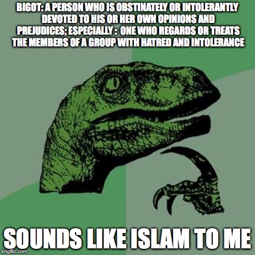 Philosoraptor | BIGOT: A PERSON WHO IS OBSTINATELY OR INTOLERANTLY DEVOTED TO HIS OR HER OWN OPINIONS AND PREJUDICES; ESPECIALLY :  ONE WHO REGARDS OR TREATS THE MEMBERS OF A GROUP WITH HATRED AND INTOLERANCE; SOUNDS LIKE ISLAM TO ME | image tagged in memes,philosoraptor | made w/ Imgflip meme maker