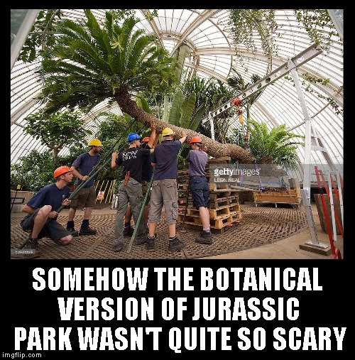Cycad Park | SOMEHOW THE BOTANICAL VERSION OF JURASSIC PARK WASN'T QUITE SO SCARY | image tagged in jurassic park,cycad,jurassic world | made w/ Imgflip meme maker