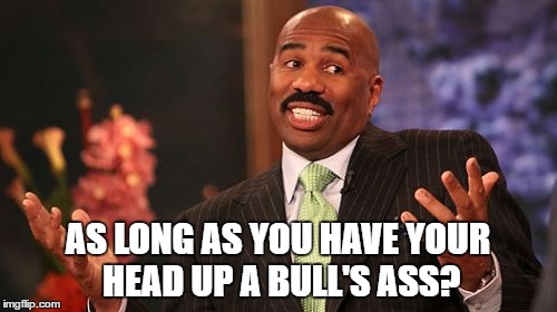 Steve Harvey Meme | AS LONG AS YOU HAVE YOUR HEAD UP A BULL'S ASS? | image tagged in memes,steve harvey | made w/ Imgflip meme maker