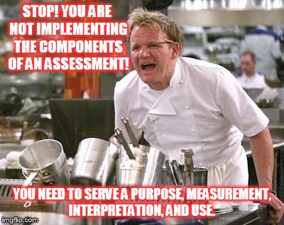 Gordon Ramsey meme | STOP! YOU ARE NOT IMPLEMENTING THE COMPONENTS OF AN ASSESSMENT! YOU NEED TO SERVE A PURPOSE, MEASUREMENT, INTERPRETATION, AND USE. | image tagged in gordon ramsey meme | made w/ Imgflip meme maker