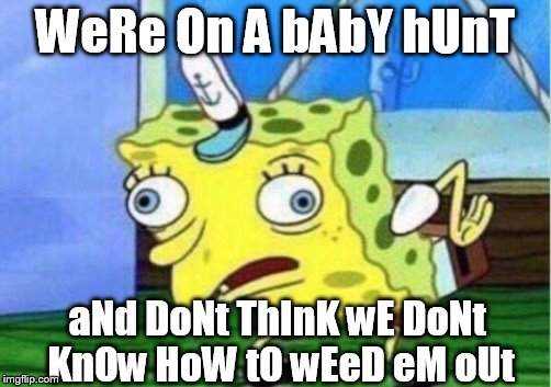 Mocking Spongebob | WeRe On A bAbY hUnT; aNd DoNt ThInK wE DoNt KnOw HoW tO wEeD eM oUt | image tagged in mocking spongebob | made w/ Imgflip meme maker