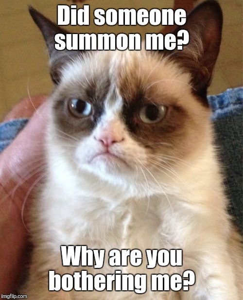 Grumpy Cat Meme | Did someone summon me? Why are you bothering me? | image tagged in memes,grumpy cat | made w/ Imgflip meme maker