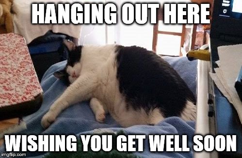 Get Well soon | HANGING OUT HERE; WISHING YOU GET WELL SOON | image tagged in snoozing cat,get well soon | made w/ Imgflip meme maker