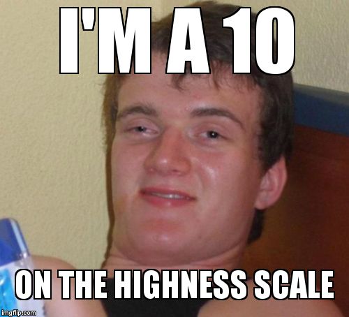 10 Guy Meme | I'M A 10 ON THE HIGHNESS SCALE | image tagged in memes,10 guy | made w/ Imgflip meme maker