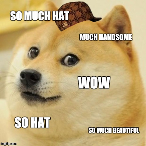 Doge Meme | SO MUCH HAT; MUCH HANDSOME; WOW; SO HAT; SO MUCH BEAUTIFUL | image tagged in memes,doge,scumbag | made w/ Imgflip meme maker