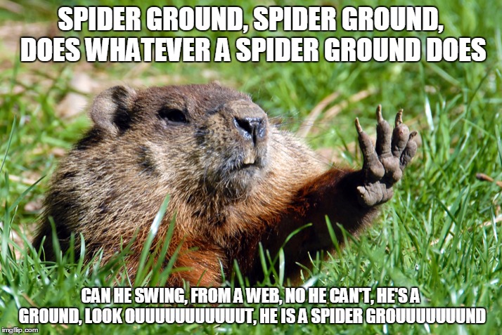 Groundhog | SPIDER GROUND, SPIDER GROUND, DOES WHATEVER A SPIDER GROUND DOES; CAN HE SWING, FROM A WEB, NO HE CAN'T, HE'S A GROUND, LOOK OUUUUUUUUUUUT, HE IS A SPIDER GROUUUUUUUND | image tagged in groundhog,spiderground,spider ground | made w/ Imgflip meme maker