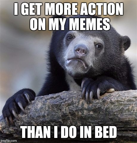 Confession Bear | I GET MORE ACTION ON MY MEMES; THAN I DO IN BED | image tagged in memes,confession bear | made w/ Imgflip meme maker