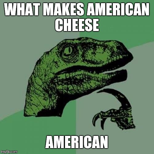 Philosoraptor Meme | WHAT MAKES AMERICAN CHEESE; AMERICAN | image tagged in memes,philosoraptor | made w/ Imgflip meme maker