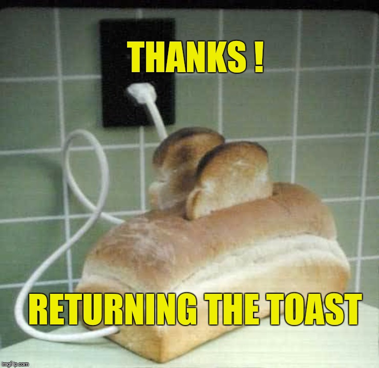 Memes, funny, toast | THANKS ! RETURNING THE TOAST | image tagged in memes funny toast | made w/ Imgflip meme maker