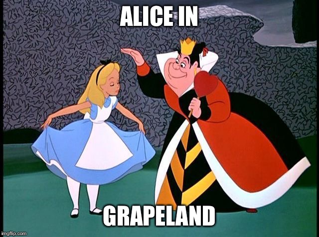alice in xland | ALICE IN; GRAPELAND | image tagged in alice in xland | made w/ Imgflip meme maker