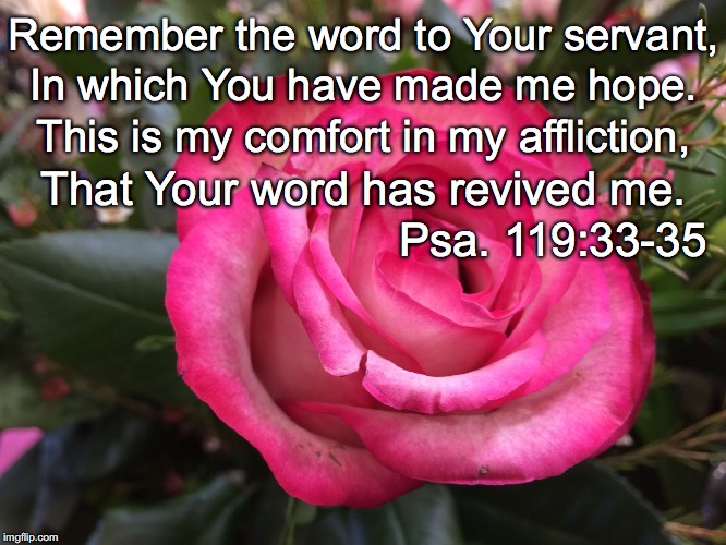 Remember the word to Your servant, In which You have made me hope. This is my comfort in my affliction, That Your word has revived me. Psa. 119:33-35 | image tagged in remember | made w/ Imgflip meme maker