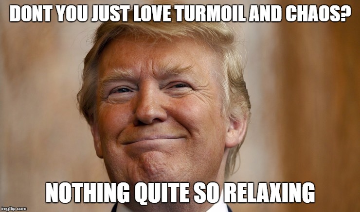 DONT YOU JUST LOVE TURMOIL AND CHAOS? NOTHING QUITE SO RELAXING | image tagged in trump,relaxing,chaos,love | made w/ Imgflip meme maker