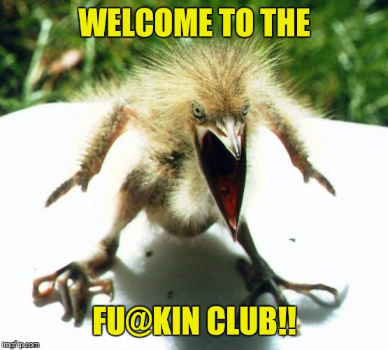 Angry bird | WELCOME TO THE FU@KIN CLUB!! | image tagged in angry bird | made w/ Imgflip meme maker