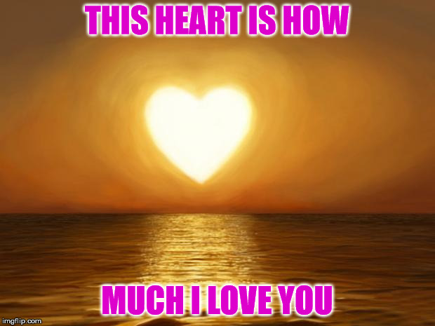 Love | THIS HEART IS HOW; MUCH I LOVE YOU | image tagged in love | made w/ Imgflip meme maker