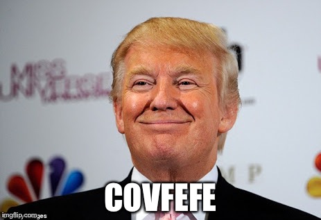 Donald trump approves | COVFEFE | image tagged in donald trump approves,memes | made w/ Imgflip meme maker