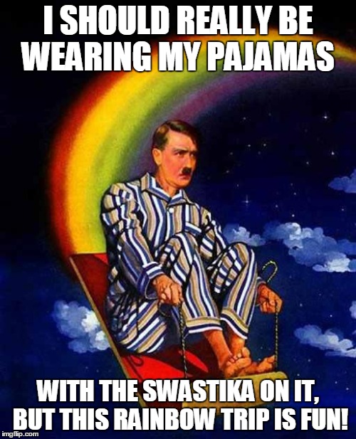 Random Hitler | I SHOULD REALLY BE WEARING MY PAJAMAS; WITH THE SWASTIKA ON IT, BUT THIS RAINBOW TRIP IS FUN! | image tagged in random hitler | made w/ Imgflip meme maker