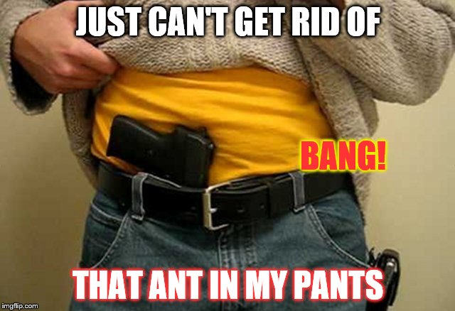 JUST CAN'T GET RID OF; BANG! THAT ANT IN MY PANTS | made w/ Imgflip meme maker