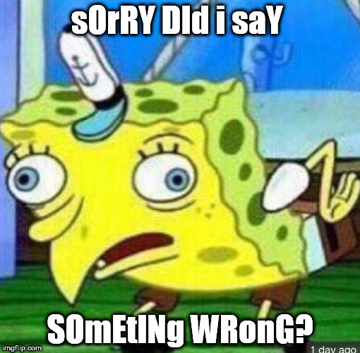 sOrRY DId i saY SOmEtINg WRonG? | made w/ Imgflip meme maker